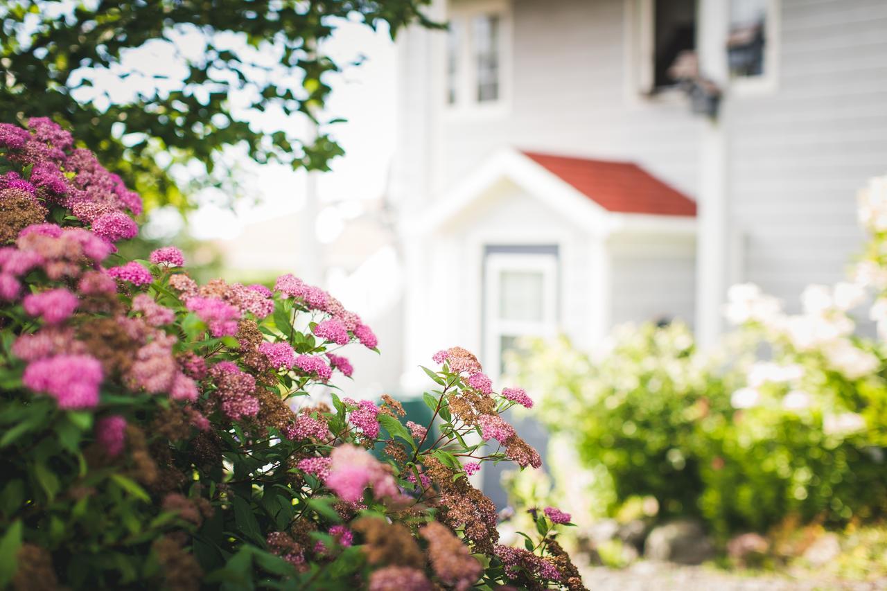 Abbie'S Garden Bed & Breakfast Grand Bank Kültér fotó