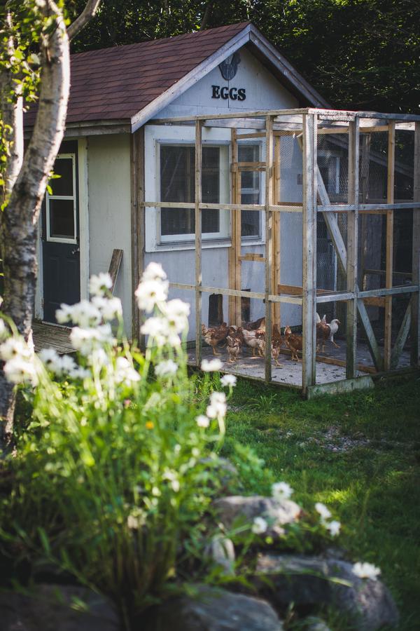 Abbie'S Garden Bed & Breakfast Grand Bank Kültér fotó